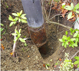 �n�ە⋭����