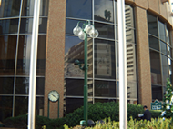 ���{���s