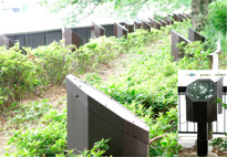 ���{���s