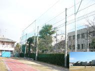 ���{���s