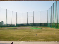 ���Ɍ����s