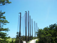 ���ꌧ�����S