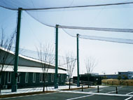 �{�茧�����s